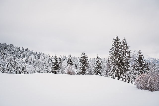 Viajar en autocaravana por la nieve